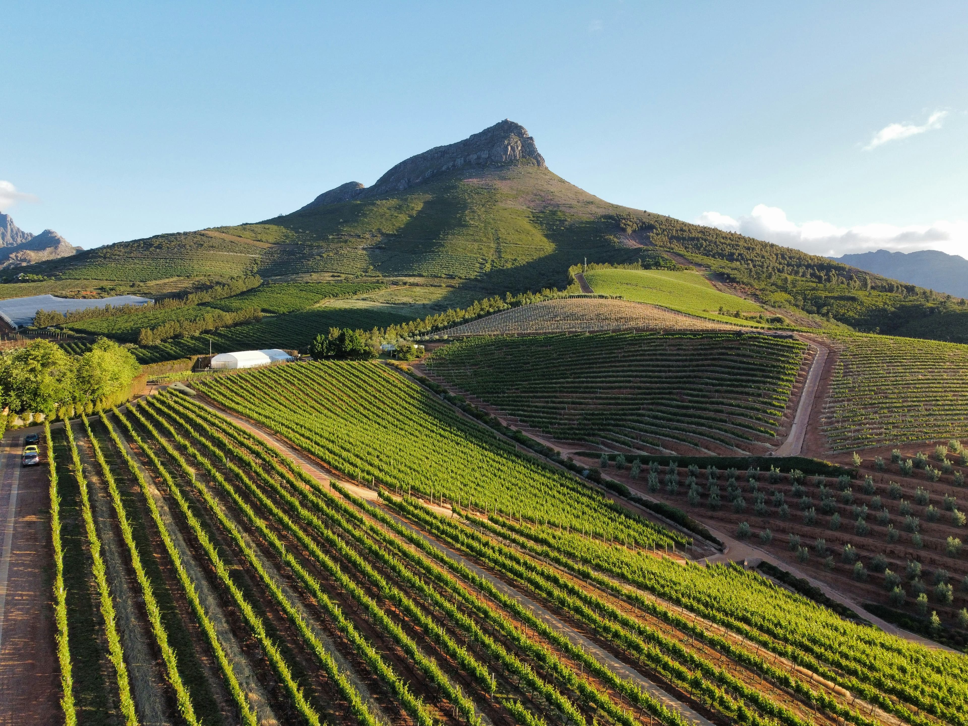 South Africa, Winelands