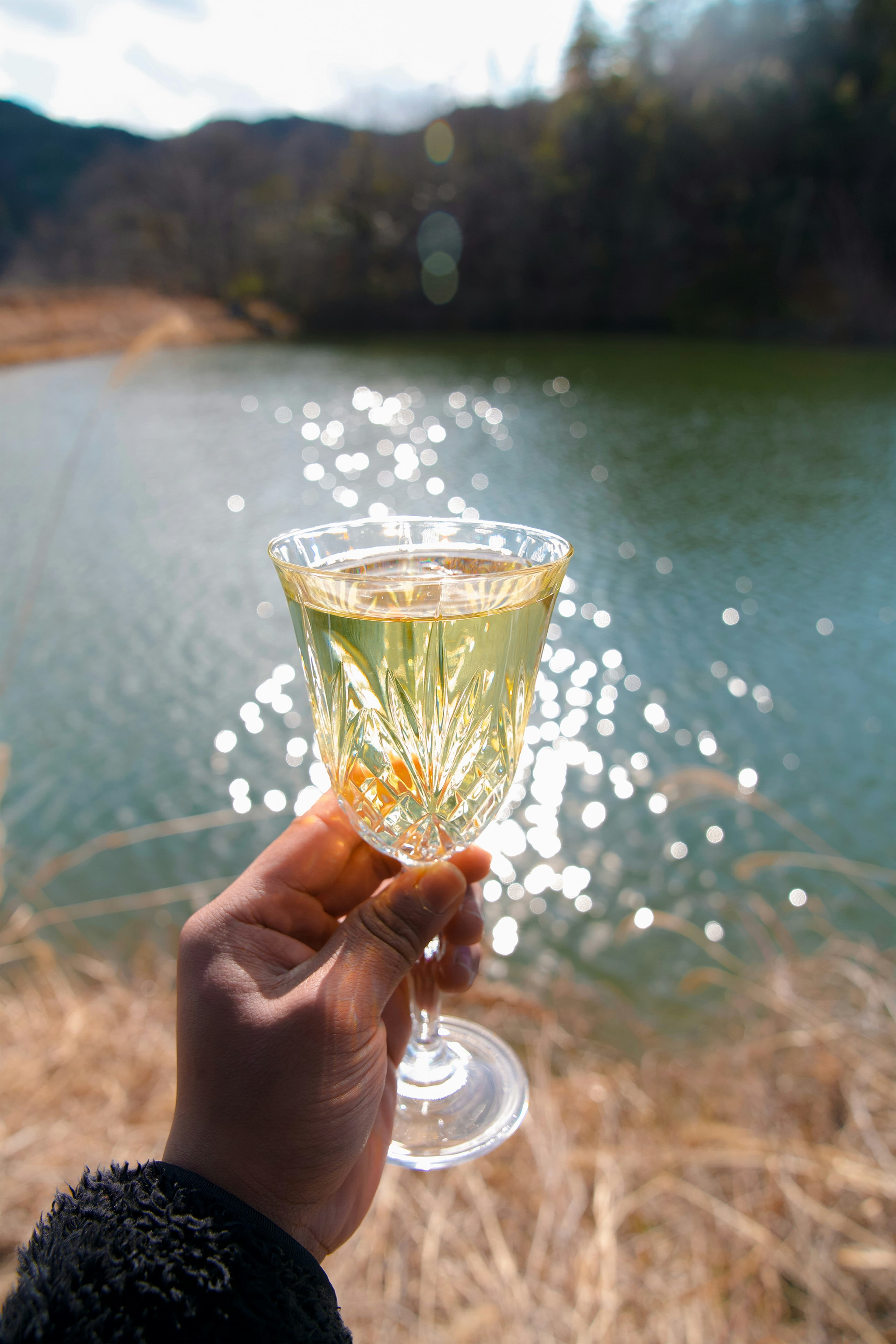 Hand holding champagne glass