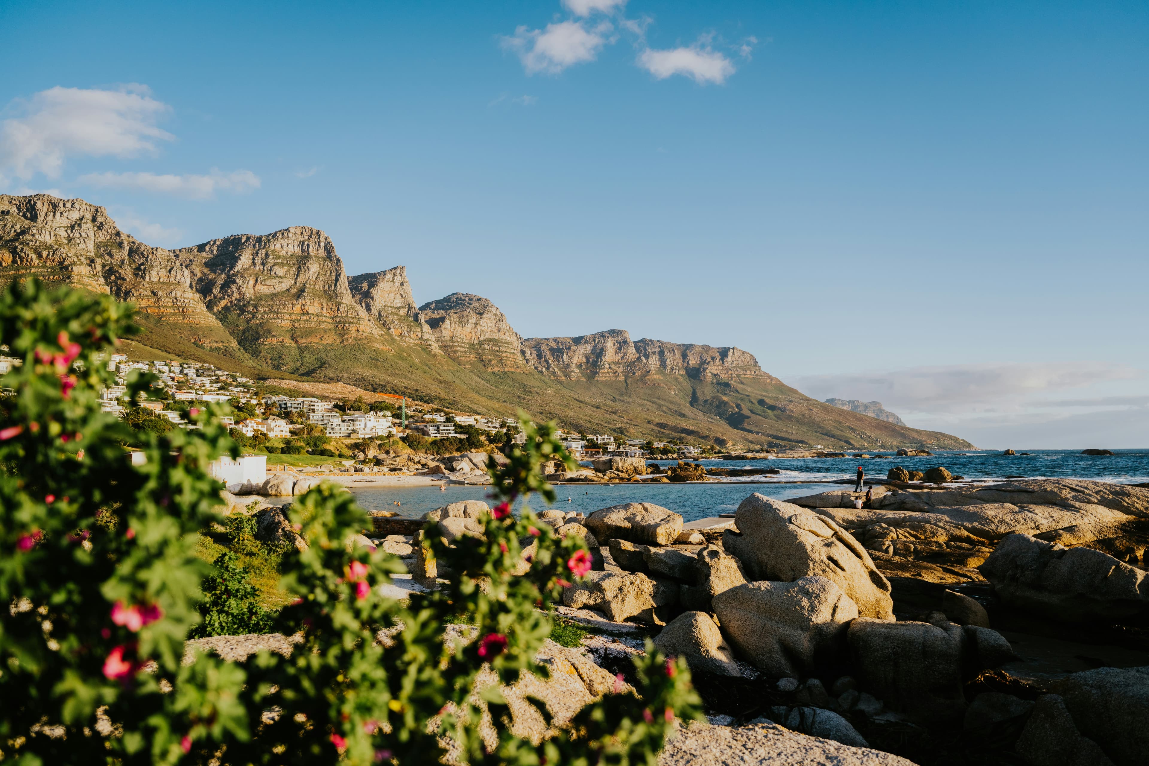 Scenic Cape Winelands view